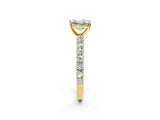 Yellow gold Princess Cut Diamond Pavé Band Solitaire Ring with Prong Setting_71