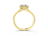 Yellow gold Princess Cut Diamond Solitaire Ring with Flower Prong Setting and Classic Band_263