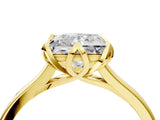 Yellow gold Princess Cut Diamond Solitaire Ring with Flower Prong Setting and Classic Band_60