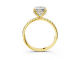Yellow gold Princess Cut Diamond Solitaire Ring with Four-Prong Setting and Pavé Band_6