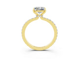 Yellow gold Princess Cut Moissanite Solitaire Engagement Ring with Pavé Band and Four-Prong Setting_3