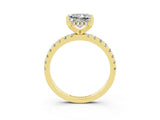 Yellow gold Princess Cut Moissanite Solitaire Ring with Pavé Band and Four-Prong Setting_27