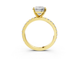 Yellow gold Princess Diamond Pavé Band Solitaire with Four-Prong Setting_213