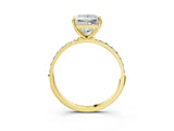 Yellow gold Princess Diamond Pavé Band with Six-Prong Setting_38