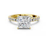 Yellow gold Princess Solitaire Pavé Band with Four-Prong Setting_173
