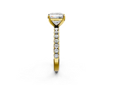 Yellow gold Princess Solitaire Pavé Band with Four-Prong Setting_175