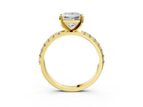 Yellow gold Princess Solitaire Pavé Band with Four-Prong Setting_176