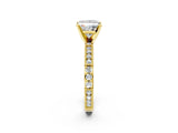 Yellow gold Princess Solitaire with Pavé Band and Four-Prong Setting_329