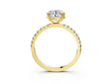 Yellow gold Round Brilliant Solitaire with Pavé Band and Claw Prong Setting_10
