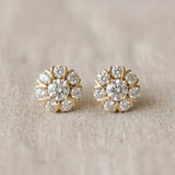 Yellow gold Round Cluster Diamond Stud Earrings with Prong Setting_11