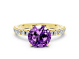 Yellow gold Round Cut Amethyst Solitaire Pavé Band with Four-Prong Setting