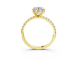 Yellow gold Round Cut Diamond Brilliant Solitaire Ring with Pavé Band and Four-Prong Setting_154