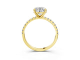 Yellow gold Round Cut Diamond Brilliant Solitaire Ring with Pavé Band and Four-Prong Setting_39