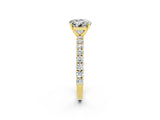 Yellow gold Round Cut Diamond Pavé Band Solitaire Ring with Prong Setting_2