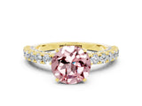 Yellow gold Round Cut Diamond Pavé Band Solitaire Ring with Prong Setting