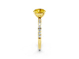 Yellow gold Round Cut Diamond Pavé Band with Six-Prong Setting_2