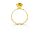 Yellow gold Round Cut Diamond Pavé Band with Six-Prong Setting_3