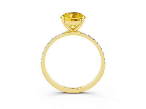 Yellow gold Round Cut Diamond Pavé Band with Six-Prong Setting_3