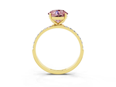 Yellow gold Round Cut Diamond Pavé Band with Six-Prong Setting_3
