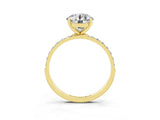 Yellow gold Round Cut Diamond Pavé Band with Six-Prong Setting_3