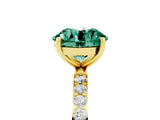 Yellow gold Round Cut Diamond Pavé Band with Six-Prong Setting_5