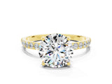 Yellow gold Round Cut Diamond Pavé Band with Six-Prong Setting
