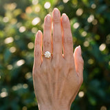 Yellow gold Round Cut Diamond Solitaire Engagement Ring with Classic Band and Four-Prong Setting_166