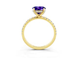 Yellow gold Round Cut Diamond Solitaire Ring with Four-Prong Setting and Pavé Band_3