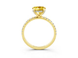 Yellow gold Round Cut Diamond Solitaire Ring with Four-Prong Setting and Pavé Band_3