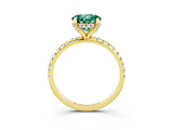 Yellow gold Round Cut Diamond Solitaire Ring with Four-Prong Setting and Pavé Band_3