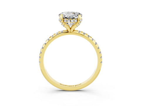 Yellow gold Round Cut Diamond Solitaire Ring with Four-Prong Setting and Pavé Band_3