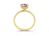 Yellow gold Round Cut Diamond Solitaire Ring with Four-Prong Setting and Pavé Band_3