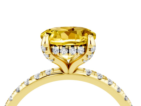 Yellow gold Round Cut Diamond Solitaire Ring with Four-Prong Setting and Pavé Band_4