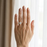 Yellow gold Round Cut Diamond Solitaire Ring with Pavé Band and Four-Prong Setting_241