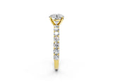 Yellow gold Round Cut Diamond Solitaire Ring with Shared Prong Pavé Band and Four-Prong Setting_86