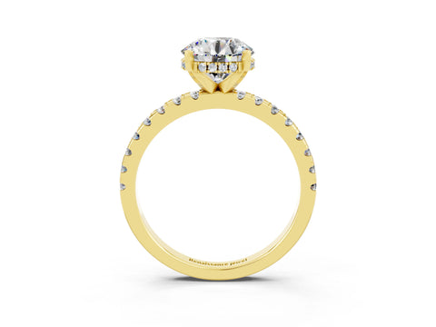 Yellow gold Round Cut Moissanite Solitaire Ring with Pavé Band and Four-Prong Setting_15