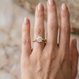 Yellow gold Round Cut Solitaire Diamond Ring with Pavé Band and Six-Prong Setting_12
