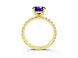 Yellow gold Round Cut Tanzanite Pavé Solitaire Ring with Round Band and Prong Setting_27