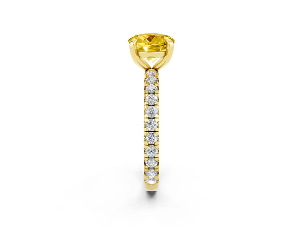 Yellow gold Round Cut Yellow Sapphire Pavé Solitaire Ring with Round Band and Prong Setting