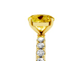 Yellow gold Round Cut Yellow Sapphire Solitaire Pavé Band with Four-Prong Setting_29
