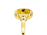 Yellow gold Round Cut Yellow Sapphire Solitaire Ring with Flower Prong Setting and Classic Band_17