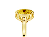 Yellow gold Round Cut Yellow Sapphire Solitaire Ring with Flower Prong Setting and Classic Band_41