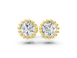 Yellow gold Round Diamond Flower Halo Stud Earrings with Petal Prong Setting_10