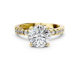 Yellow gold Round Diamond Pavé Band Solitaire with Four-Prong Setting_204