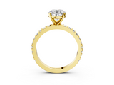 Yellow gold Round Diamond Pavé Band Solitaire with Four-Prong Setting_207