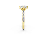 Yellow gold Round Diamond Pave Band with Floral Prong Setting_38
