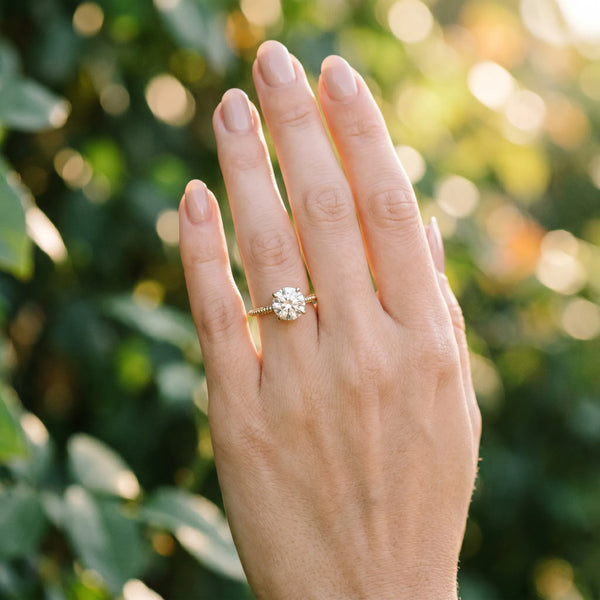 Yellow gold Round Diamond Solitaire Ring with Beaded Band and Four-Prong Setting