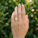 Yellow gold Round Halo Diamond Solitaire with Filigree Band and Four-Prong Setting_6