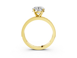 Yellow gold Round Milgrain Pave Diamond Engagement Ring with Four-Prong Setting_64