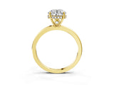 Yellow gold Round Solitaire Diamond Ring with Prong Setting and Plain Band_17